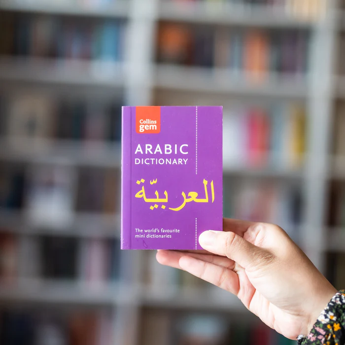 Using Arabic dictionaries