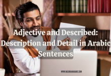 Adjective and Described